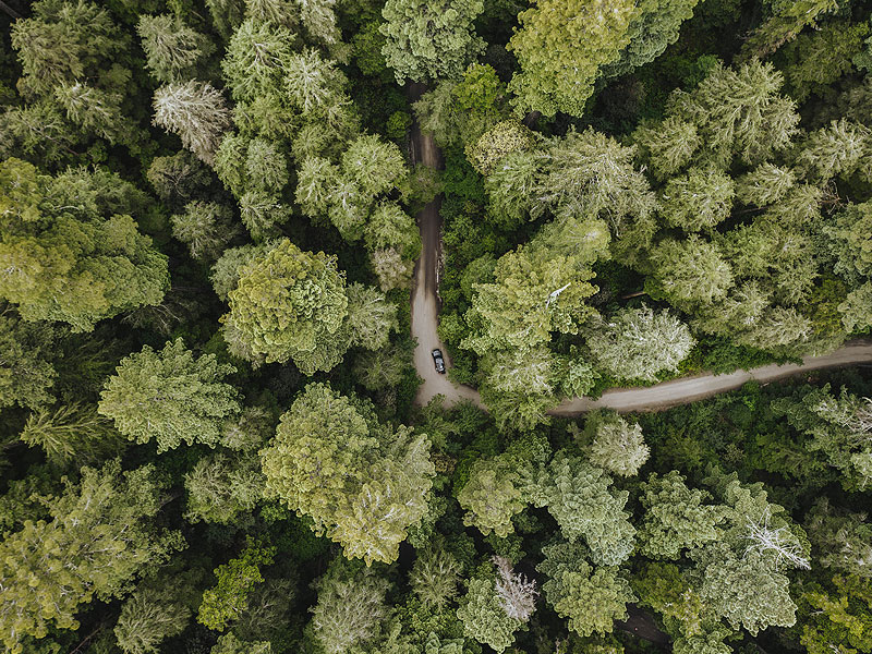 Sustainability